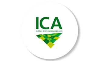 ICA client-image