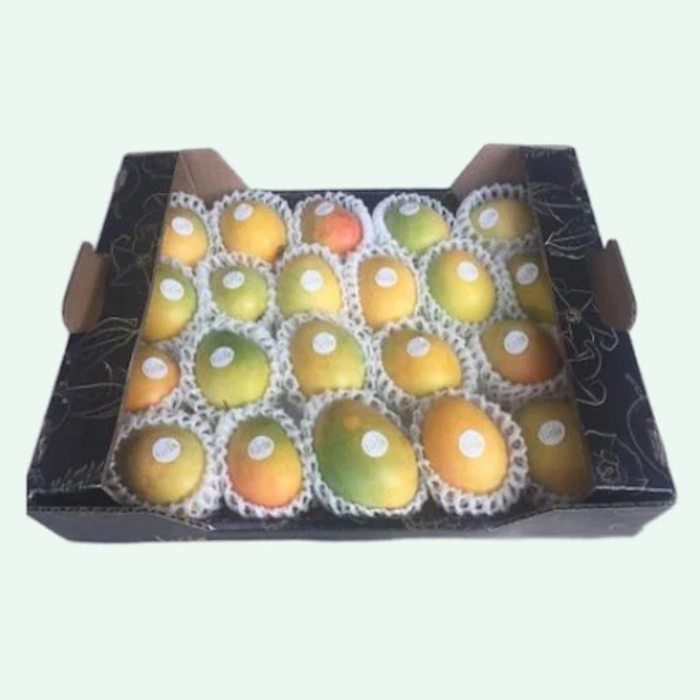 fresh-mango-box-packaging-export-quality-colombia