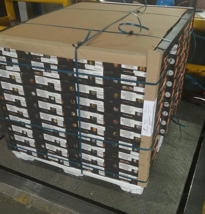 bulk-mango-export-pallet-colombia-air-freight